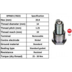 Image for Spark Plug