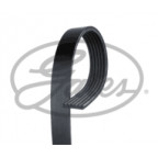 Image for Drive Belt